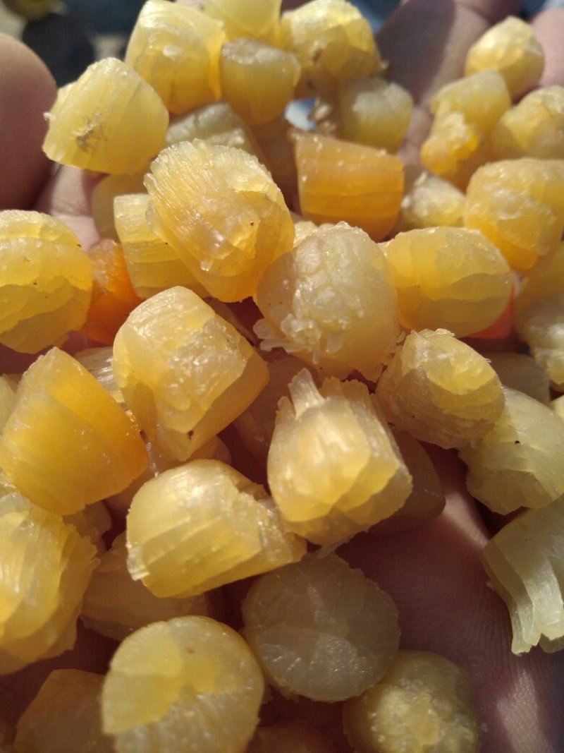 干贝，大连干贝，干瑶柱，扇贝干，海湾贝干