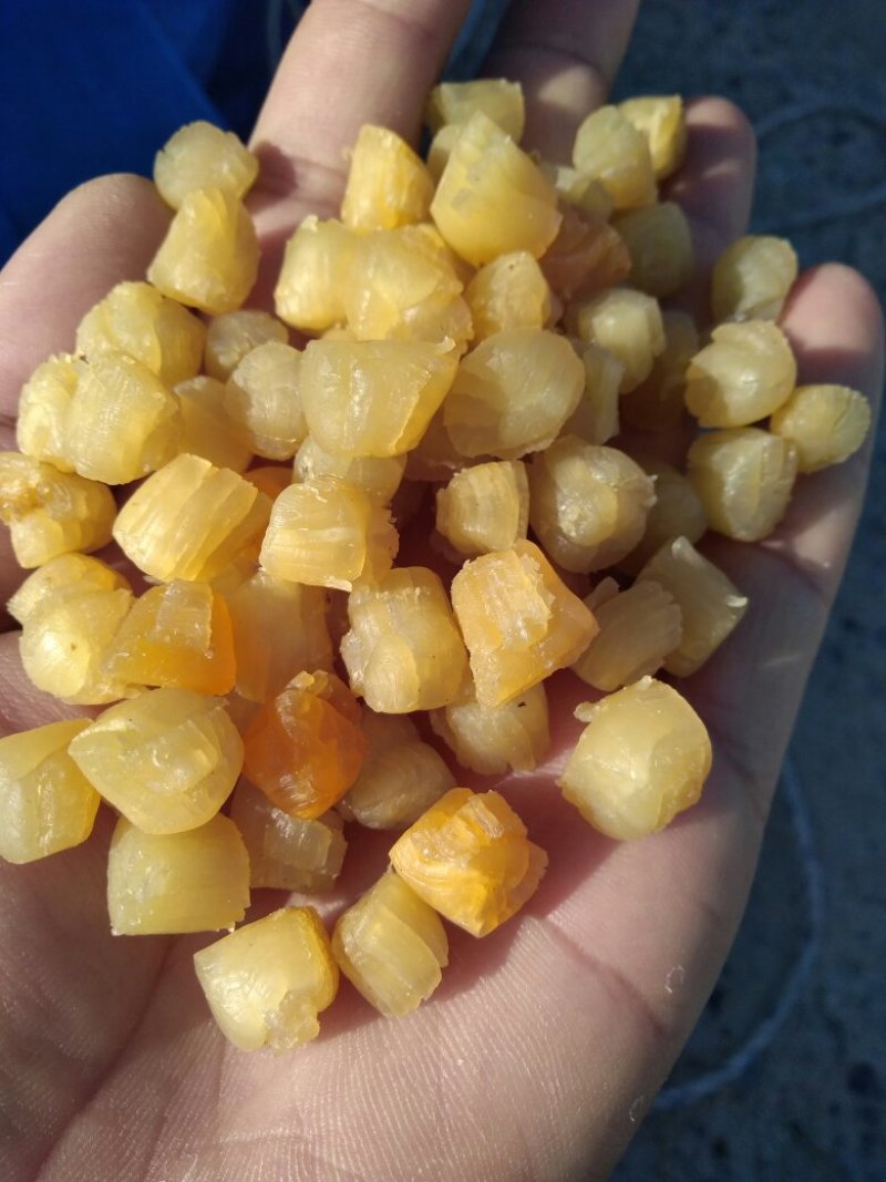 干贝，大连干贝，干瑶柱，扇贝干，海湾贝干