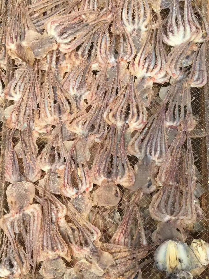 章鱼干
