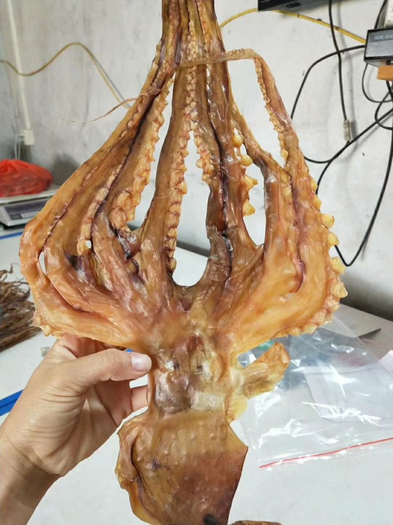 章鱼干