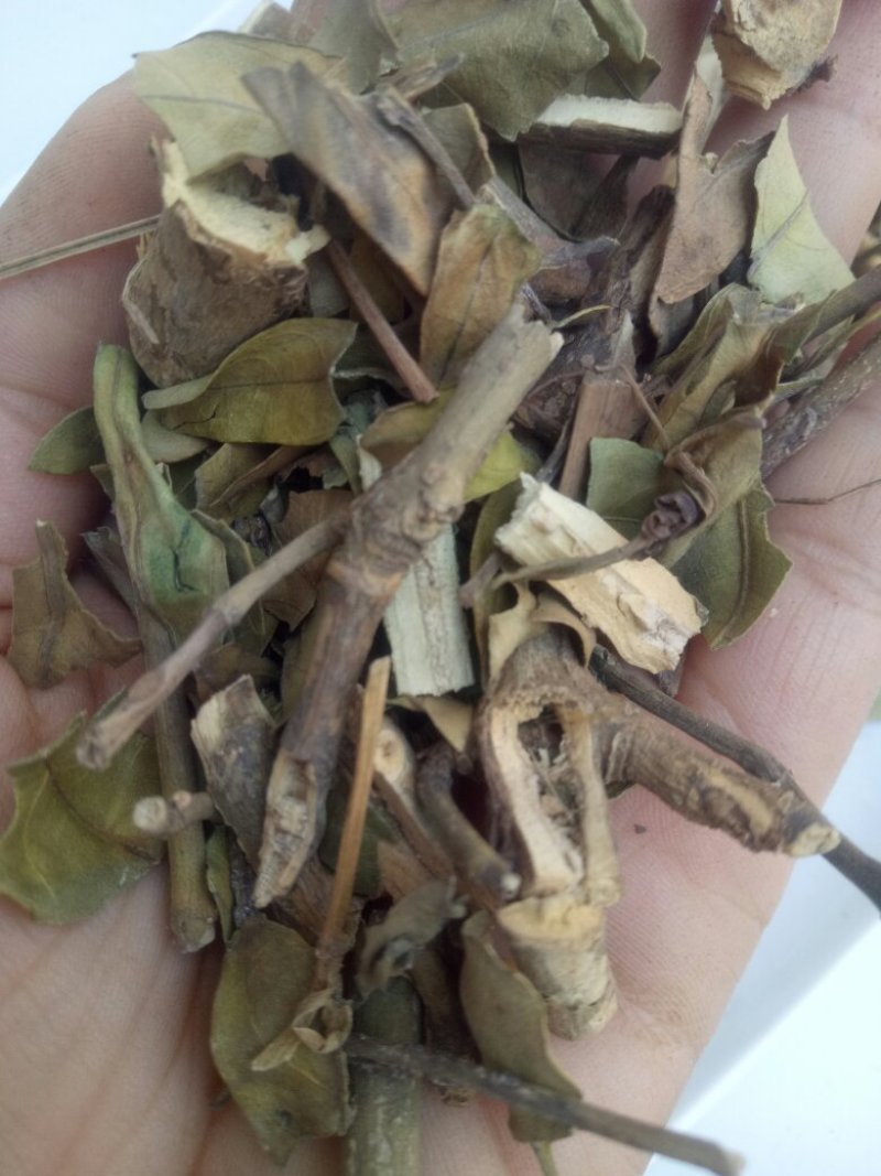 小驳骨一公斤包邮量大从优欢迎咨询