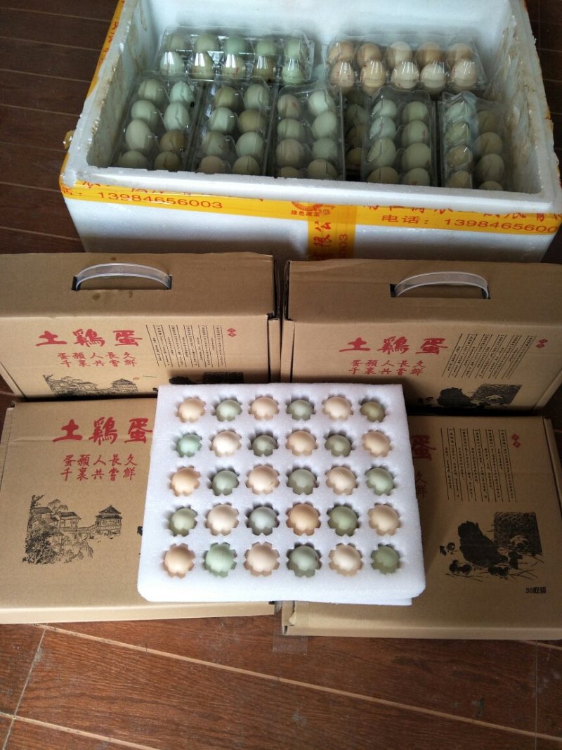 土鸡