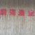 泥鳅水花/泥鳅苗批发/签合同回收/技术指导