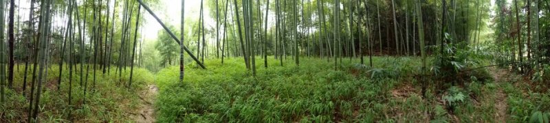 宅基地耕地养值林地