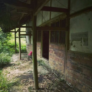 宅基地耕地养值林地