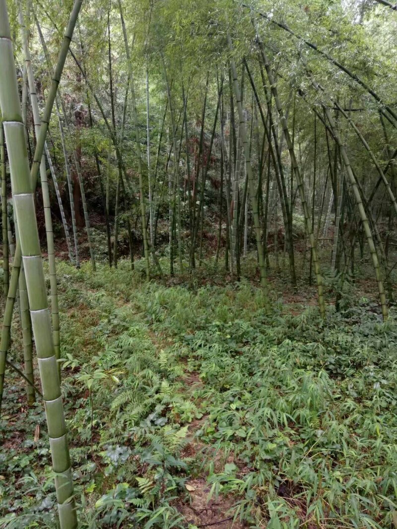宅基地耕地养值林地
