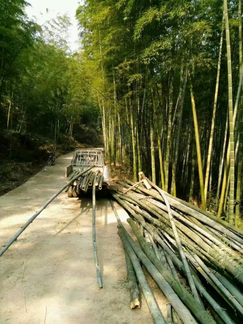 宅基地耕地养值林地