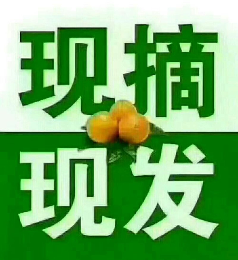 赣南脐橙70……80精品果正宗赣南脐橙，皮薄汁多，不催熟