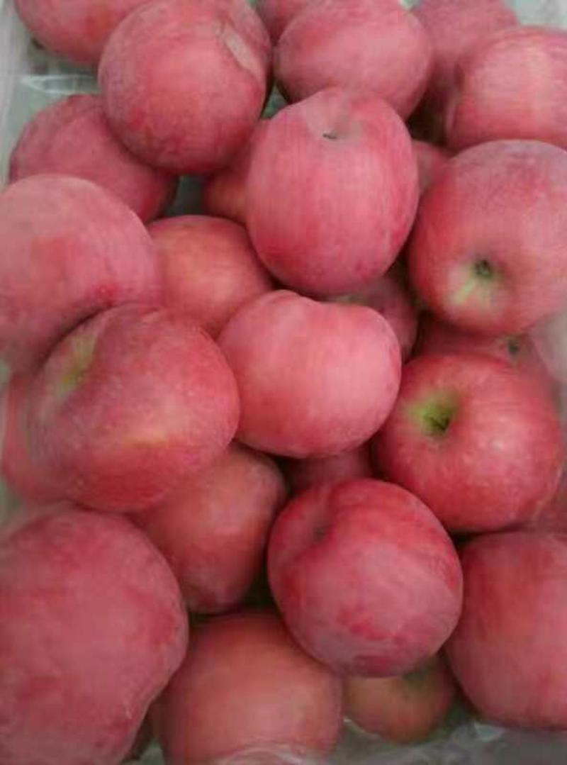 脆甜苹果多汁可口价格优惠一手货源全国各地发货