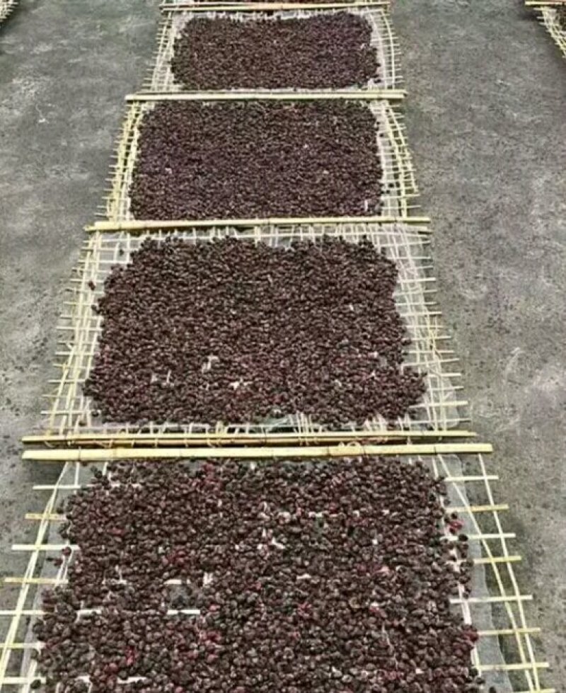 稔子干产地直销品质保证价格优惠欢迎选购