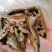 烤制小黄花鱼