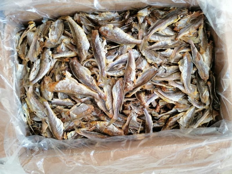 烤制小黄花鱼