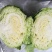 平包，包菜，京丰一号，墨玉50.扁包菜，甘蓝，市场供应