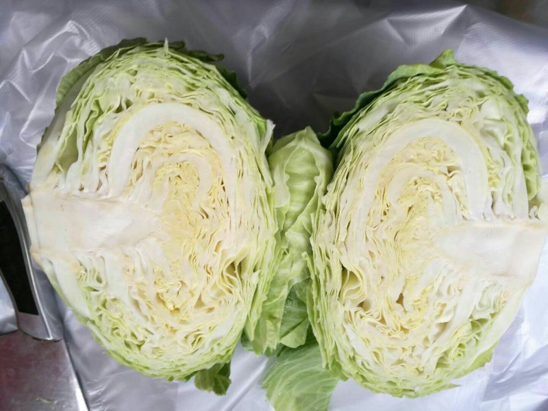 平包，包菜，京丰一号，墨玉50.扁包菜，甘蓝，市场供应