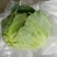 平包，包菜，京丰一号，墨玉50.扁包菜，甘蓝，市场供应