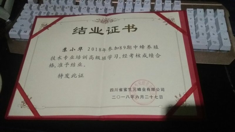 高原彝乡，蜂蜜纯蜜度百分之百