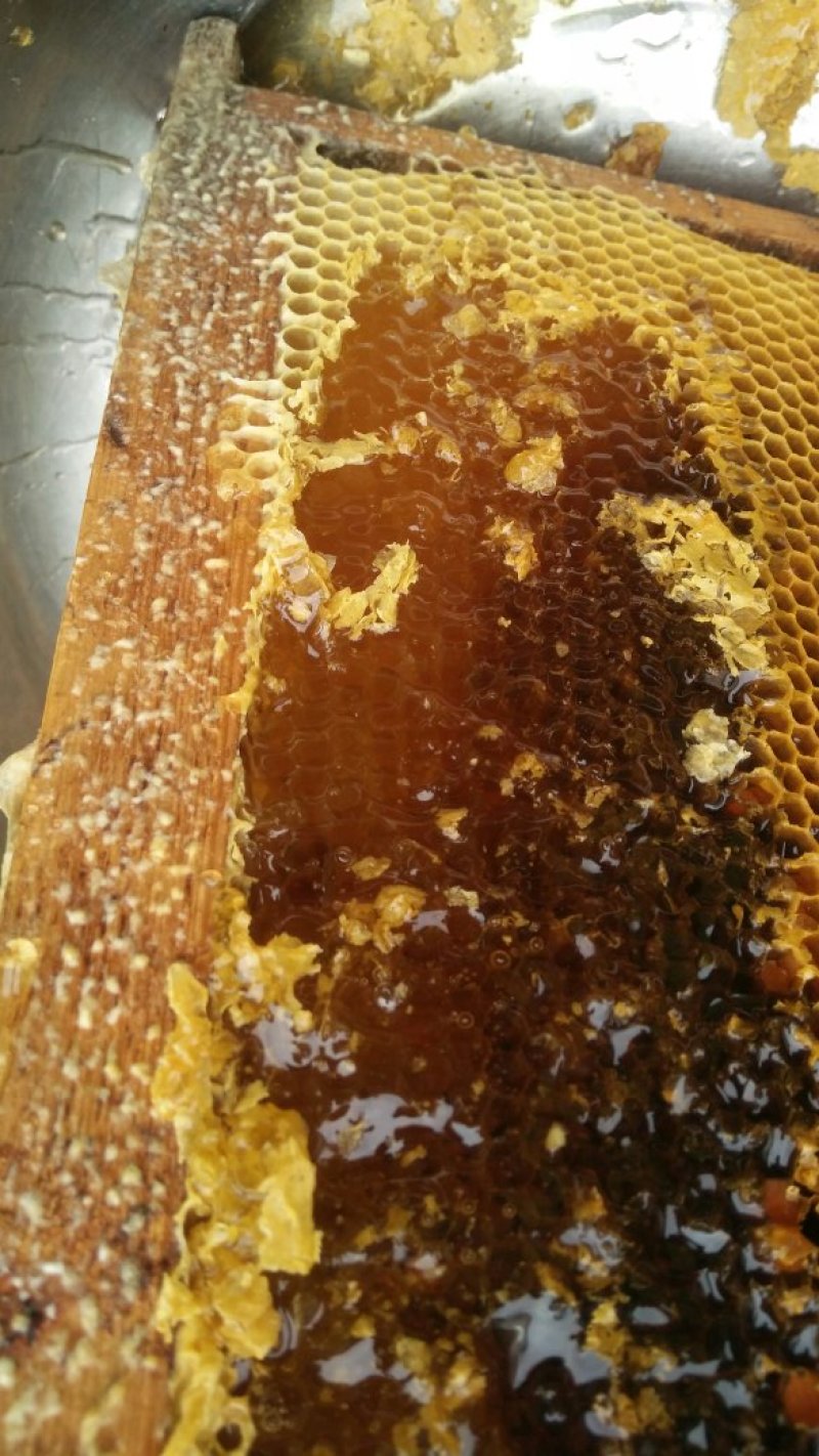高原彝乡，蜂蜜纯蜜度百分之百