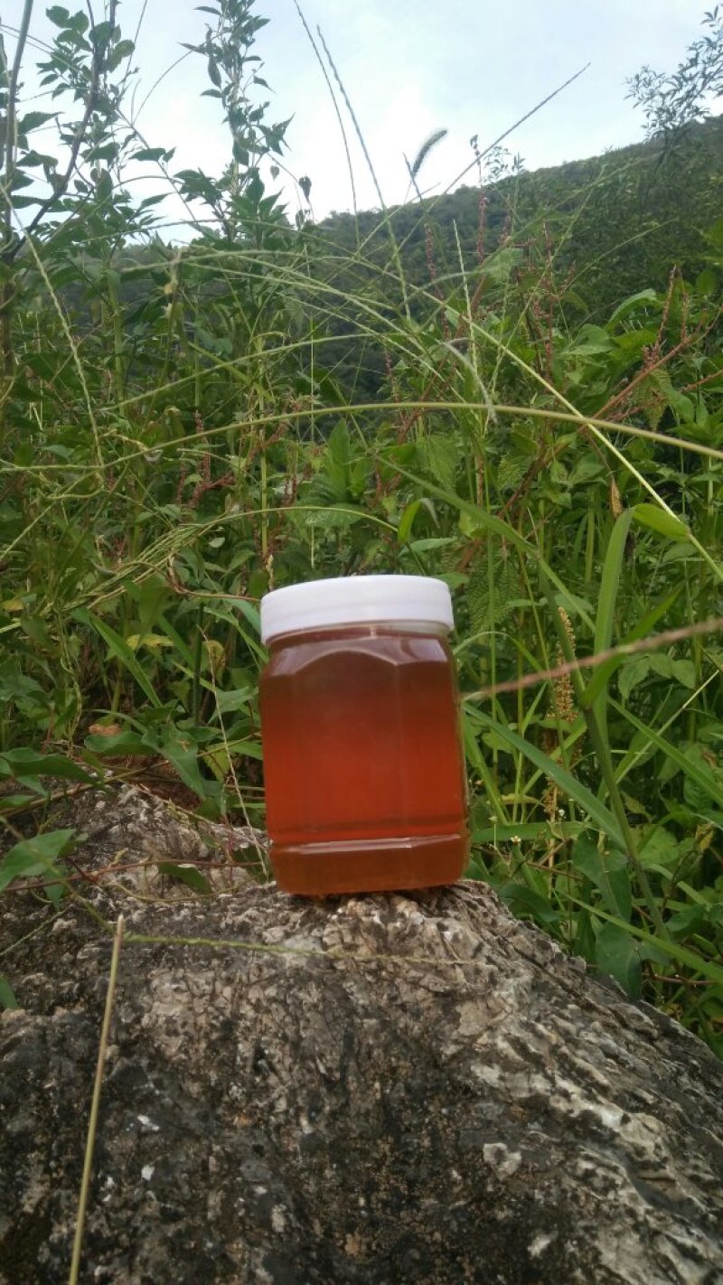 高原彝乡，蜂蜜纯蜜度百分之百