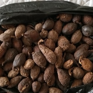 干草果，干度很好的干草果，种植的草果，干品草果
