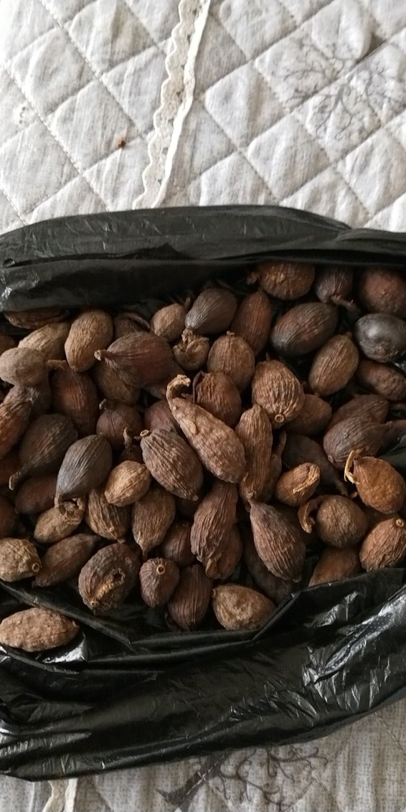 干草果，干度很好的干草果，种植的草果，干品草果