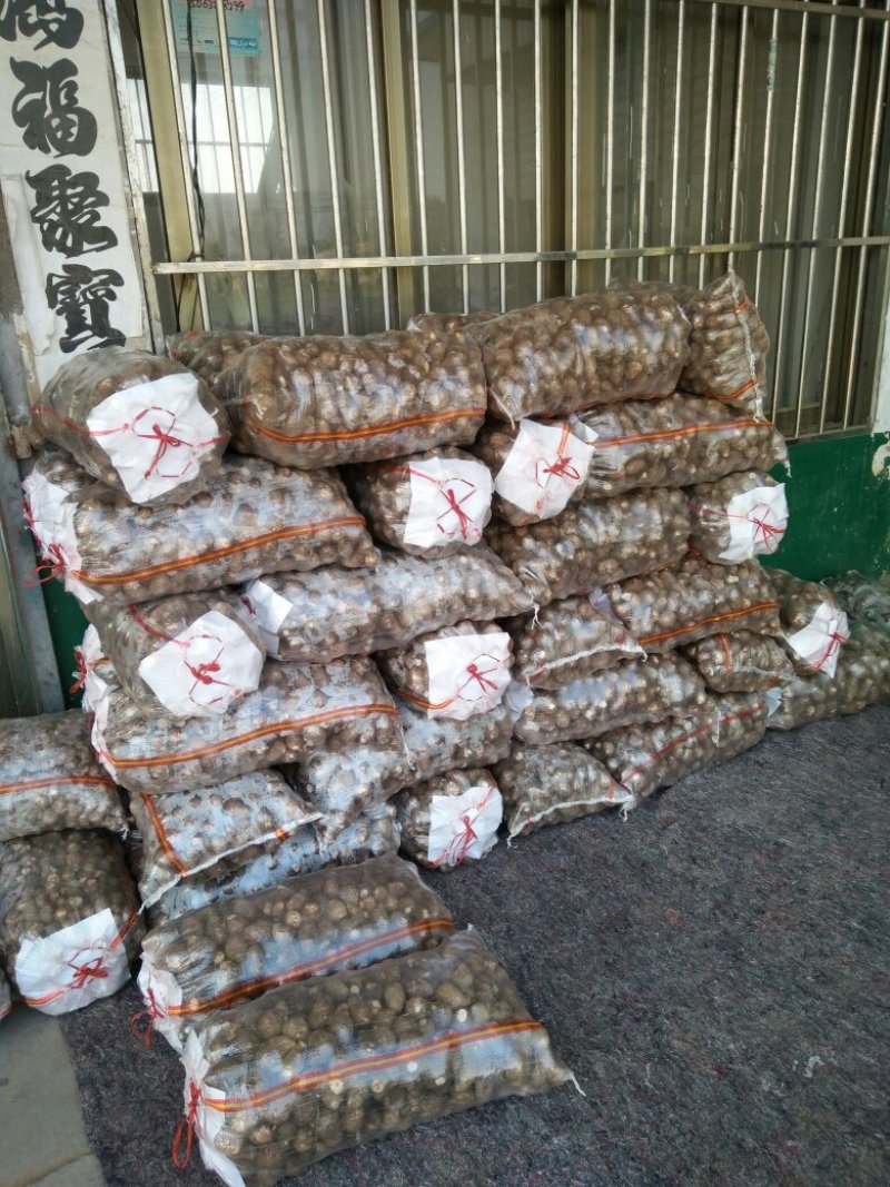 山东滕州粉糯爽口8520毛芋头