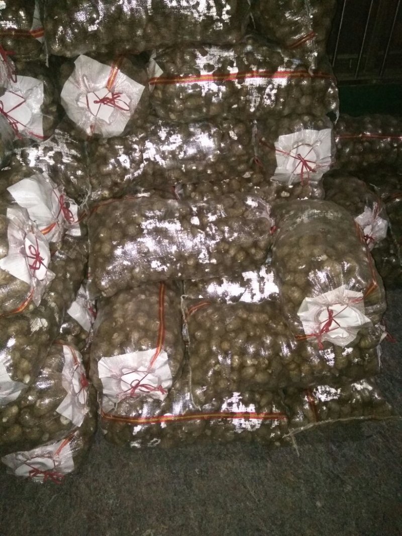 山东滕州粉糯爽口8520毛芋头