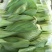 本地精品上海请质量有保证，产地真供，专业包装团队