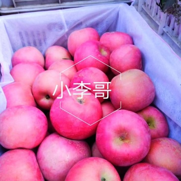 苹果