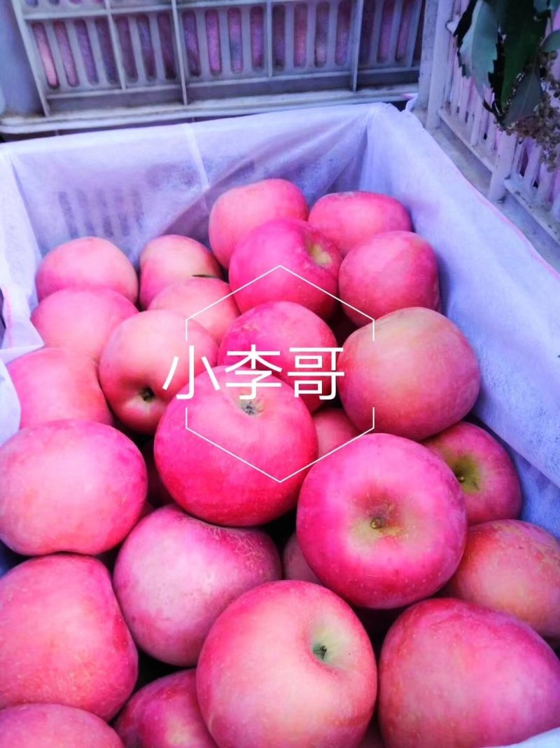 苹果
