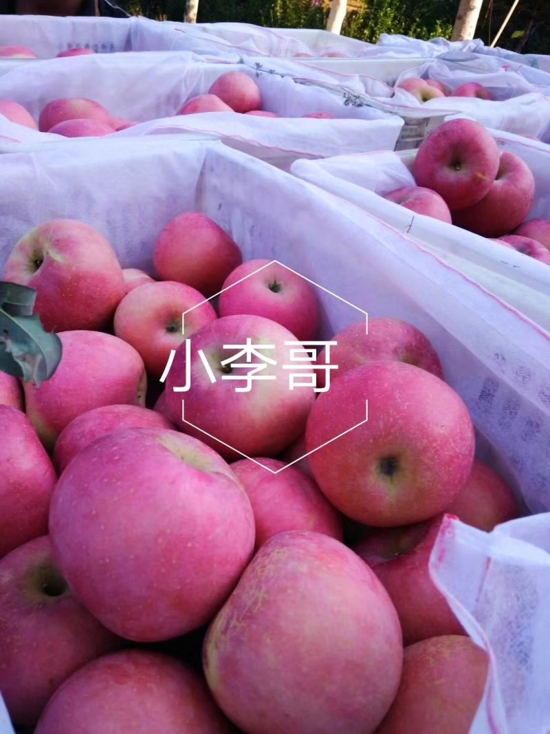 苹果