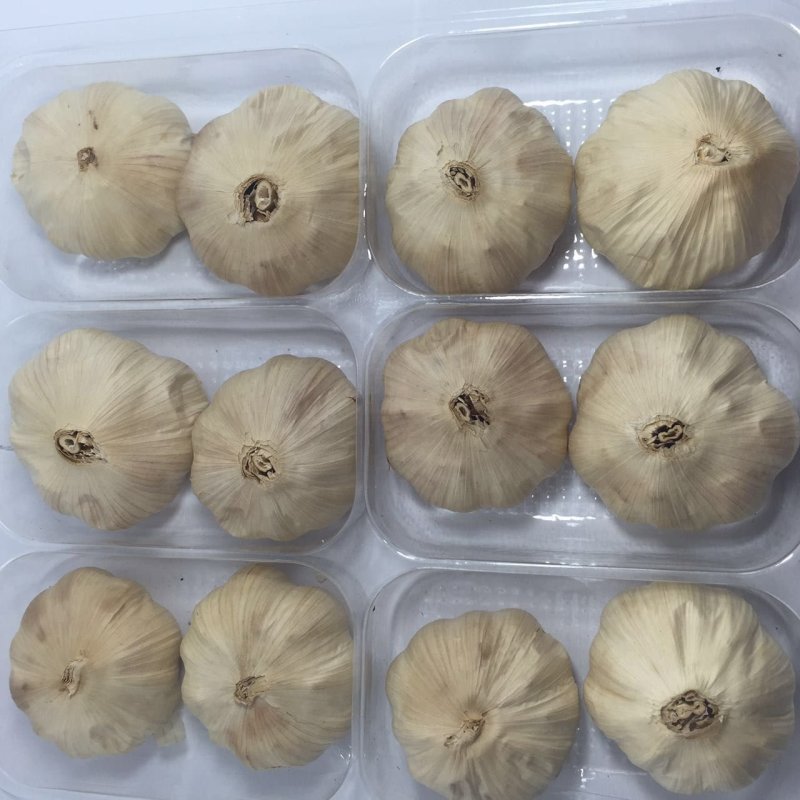 黑蒜厂家直供多瓣黑蒜可贴牌加工产地发货黑大蒜