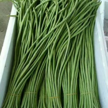 长豆角，豇豆，豇豆角，精品豆角