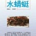 供应冻品各类昆虫类！