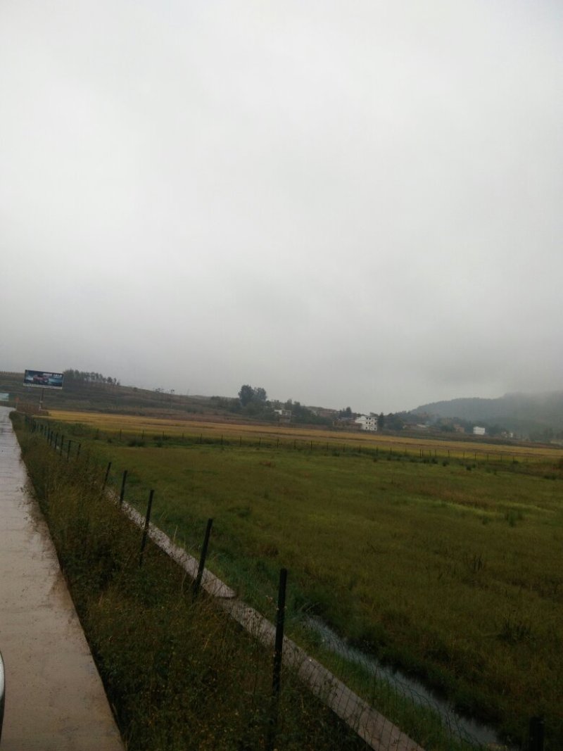 昭通市昭阳区700亩水田土地出租