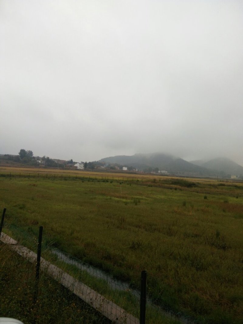 昭通市昭阳区700亩水田土地出租