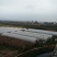昭通市昭阳区700亩水田土地出租