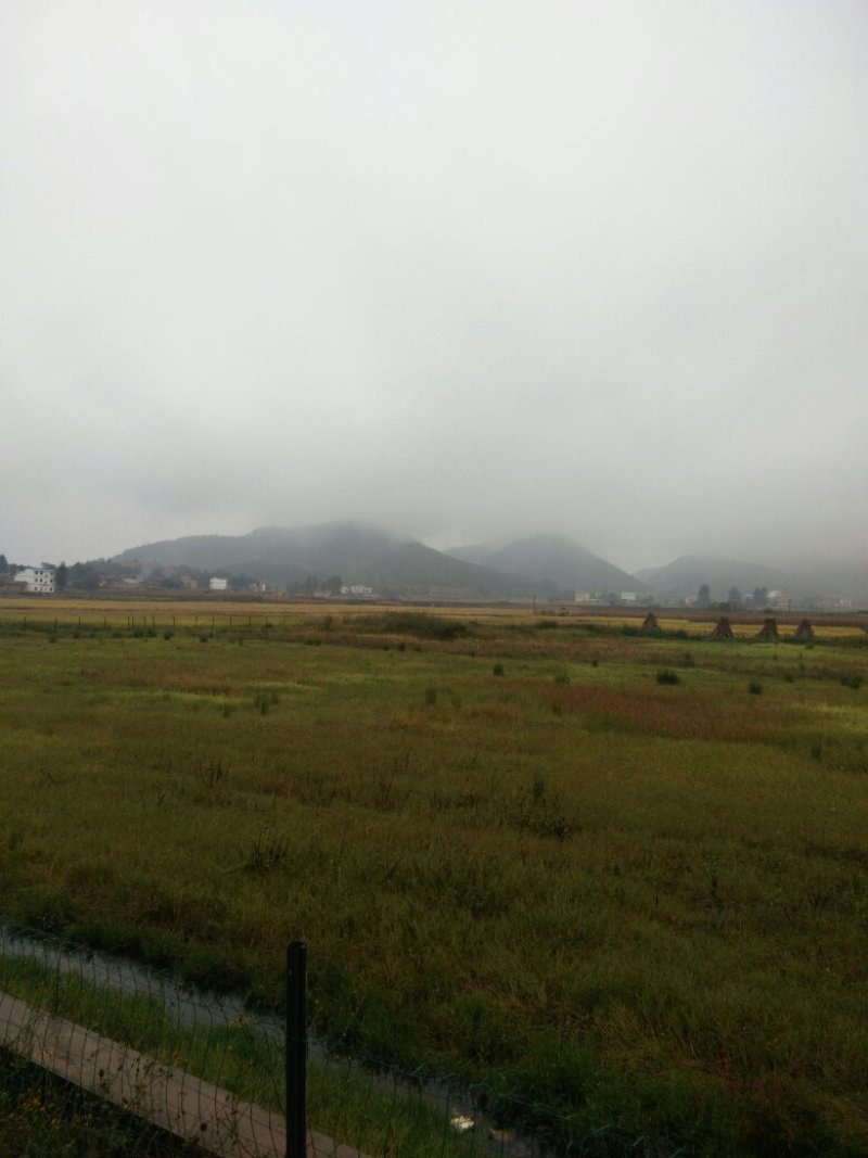 昭通市昭阳区700亩水田土地出租