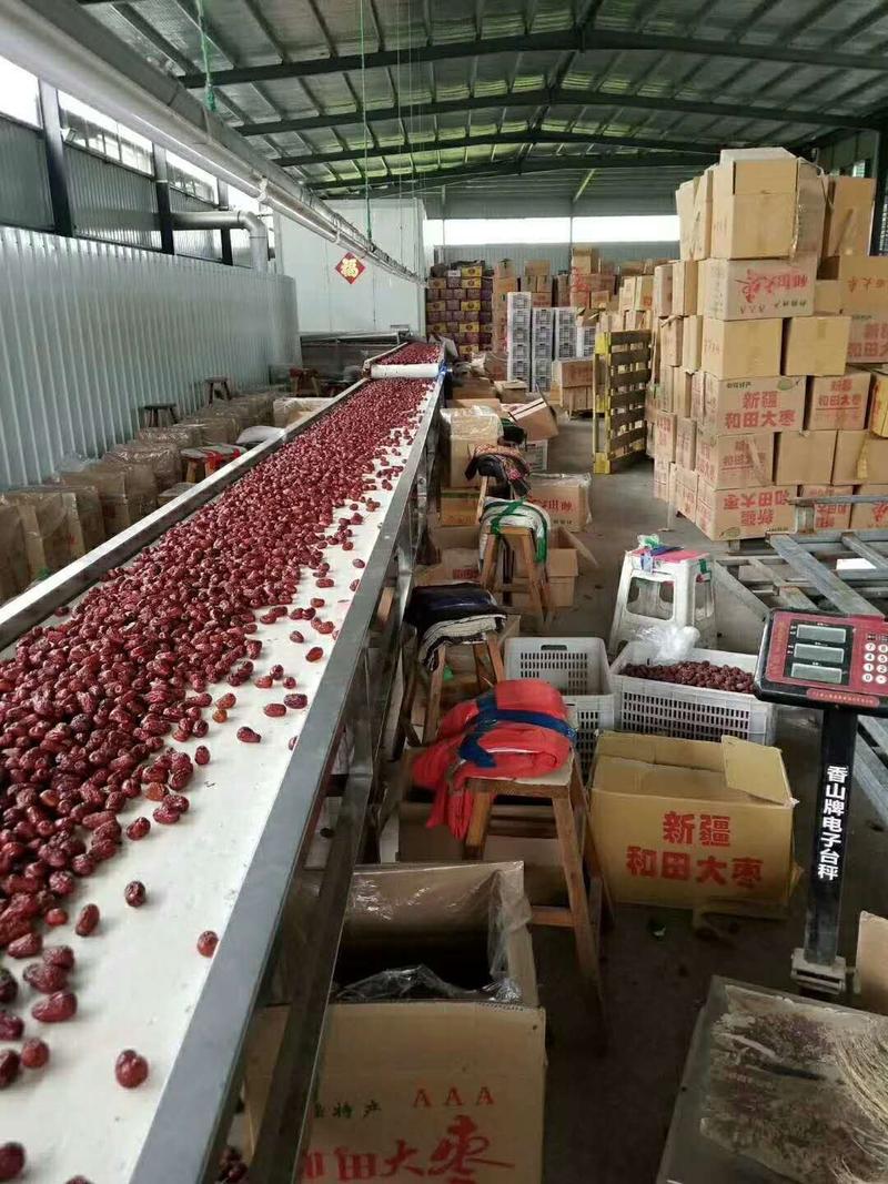 新疆若羌红枣枣厂家直供商量大价低商超品质质优价廉