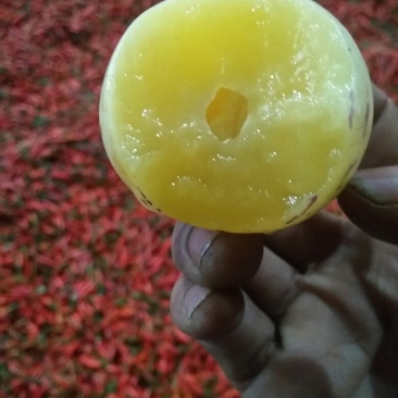 人参果