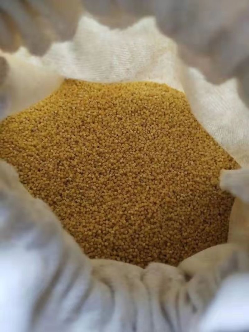 小米