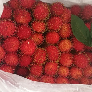 红毛丹，28斤/件