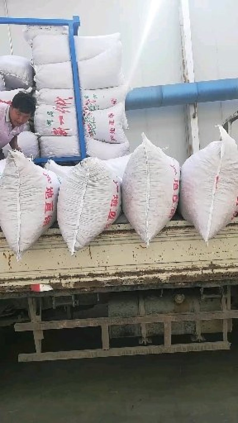 三樱，天宇干辣椒，精品冷库储存，收购，常年供应