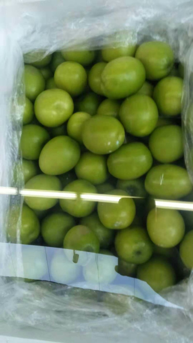 台湾牛奶大青枣，甜甜味道，让你越吃越爱吃