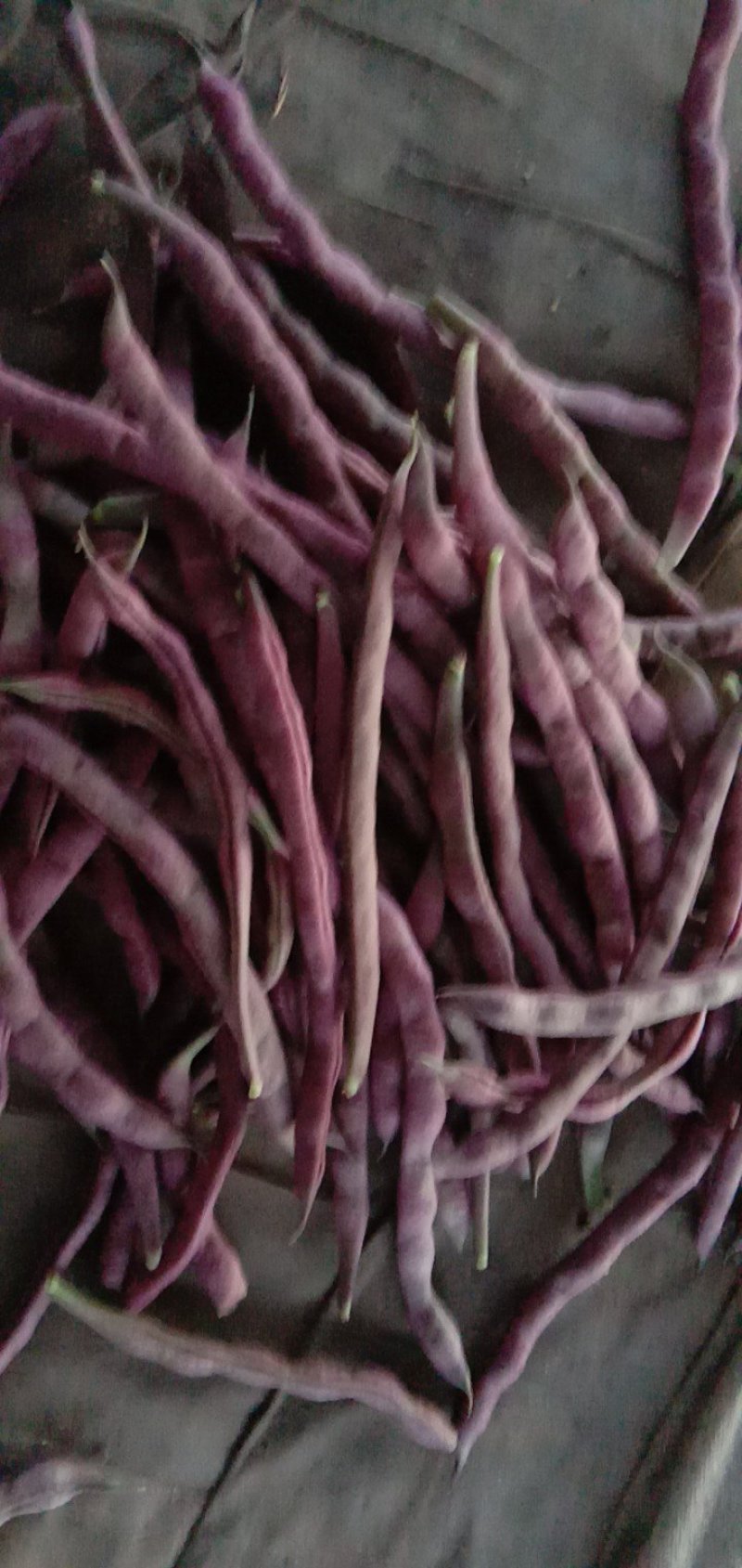 豆角
