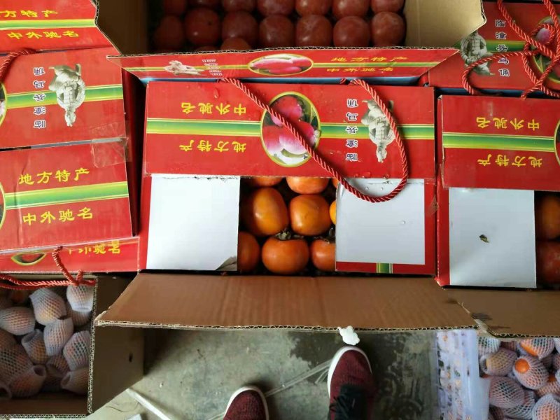 临潼火晶柿子、石榴