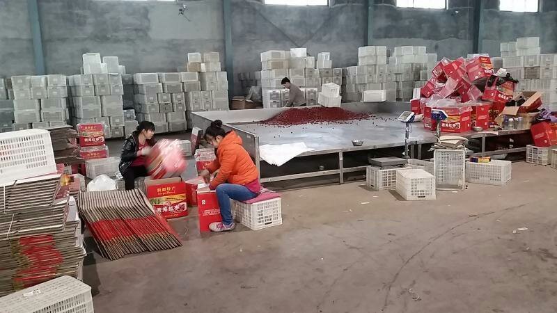 红枣和田大枣加工厂直供量大价低新货上市核小肉厚