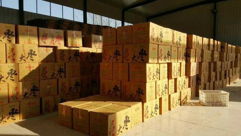 新疆和田大枣厂家批发价格低品质超好质优价廉