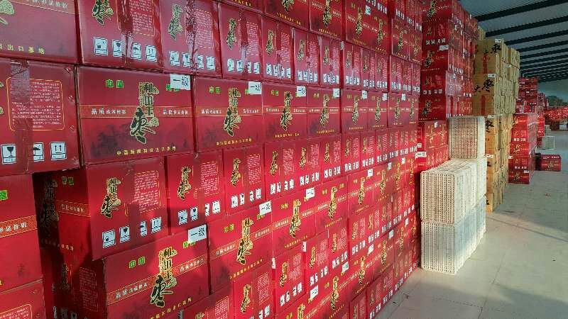 新疆和田大枣厂家批发价格低品质超好质优价廉
