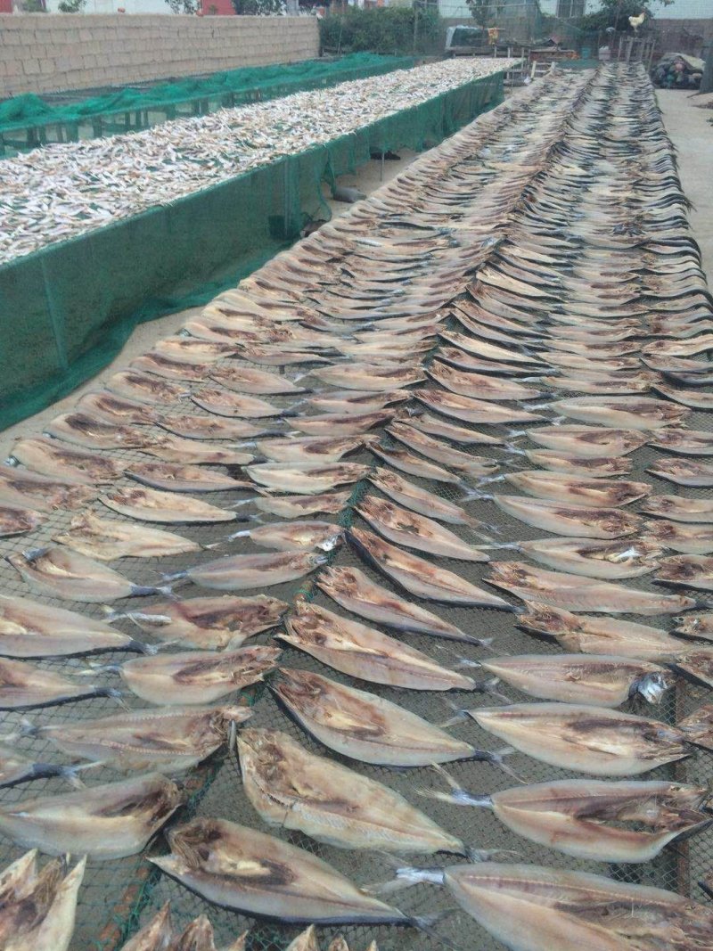 鲅鱼干