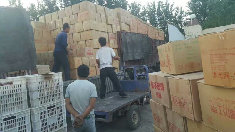 新疆红枣厂家批发价格低基地直供货源欢迎各位订购